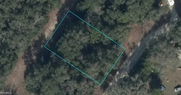 $11,000 | 9214-002-00 Northeast 157 Avenue, Williston, FL 32696