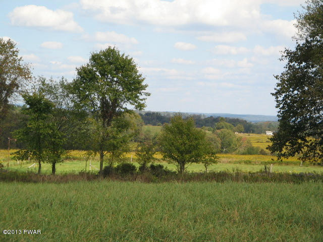 541 Calkins Road Milanville, PA 18443 - Photo 6 of 42
