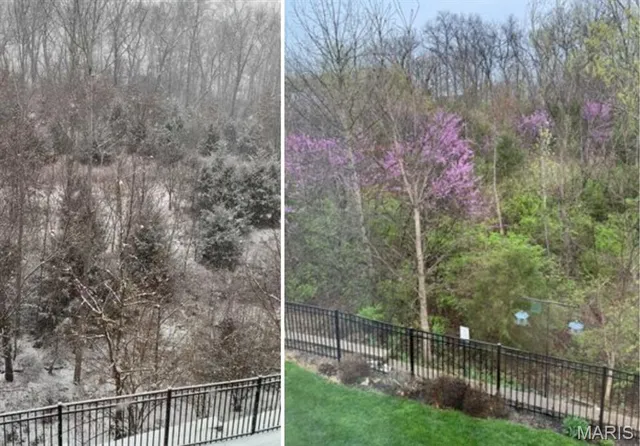 $340,000 | 113 Katie Lynn Court, Wentzville, MO 63385