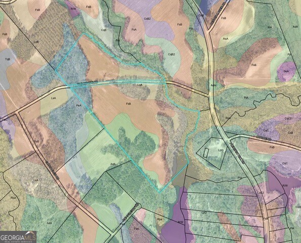 0 Old Moore Road Portal, GA 30450 - Photo 3 of 9