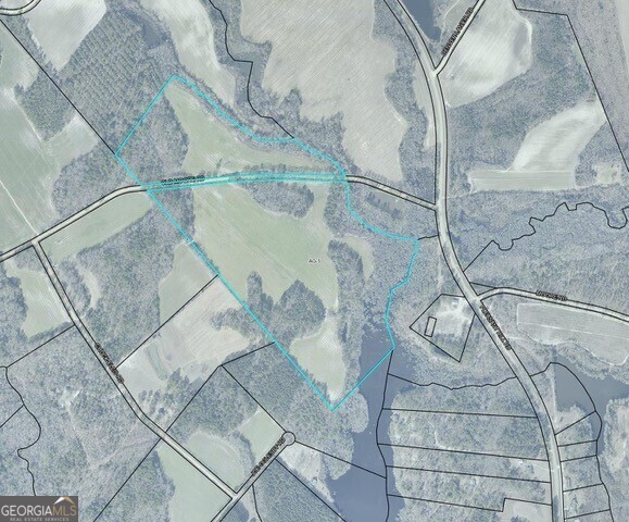 0 Old Moore Road Portal, GA 30450 - Photo 4 of 9 a picture of a bathroom with a shower