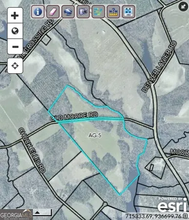 a view of a yard with large trees