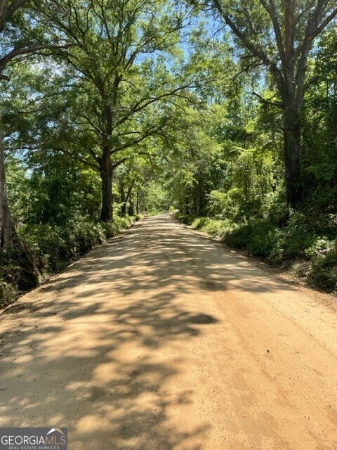 0 Old Moore Road Portal, GA 30450 - Photo 8 of 9 a view of a yard with large trees