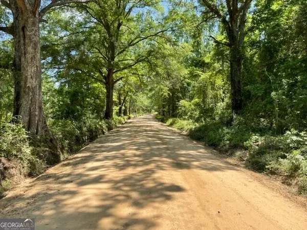 $1,003,400 | 0 Old Moore Road, Portal, GA 30450