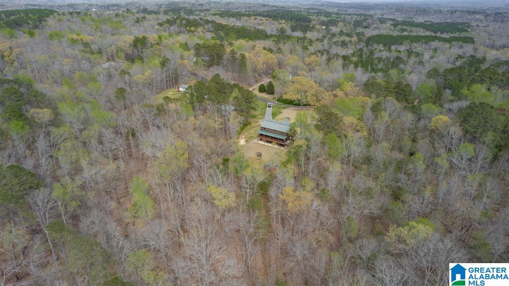 7130 Sellers Road Dora, AL 35062 - Photo 58 of 63