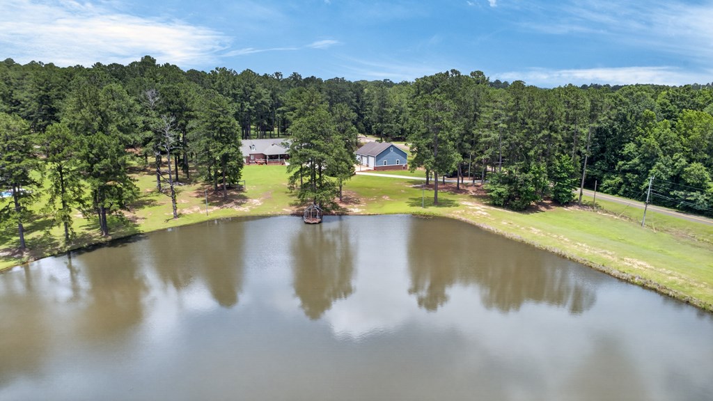 1071 Mose Ware Road Ozark, AL 36360 - Photo 8 of 72