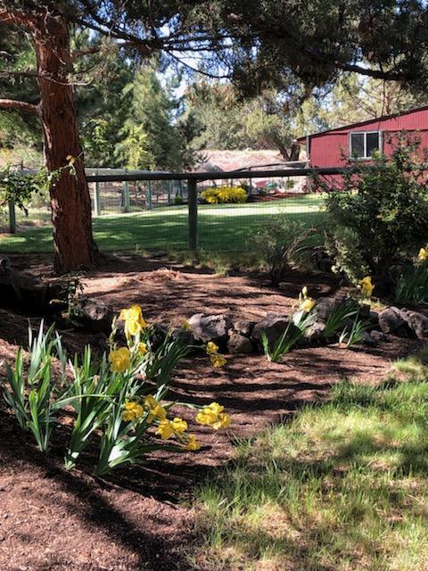 64943 Hunnell Road Bend, OR 97703 - Photo 55 of 70 Springtime photo