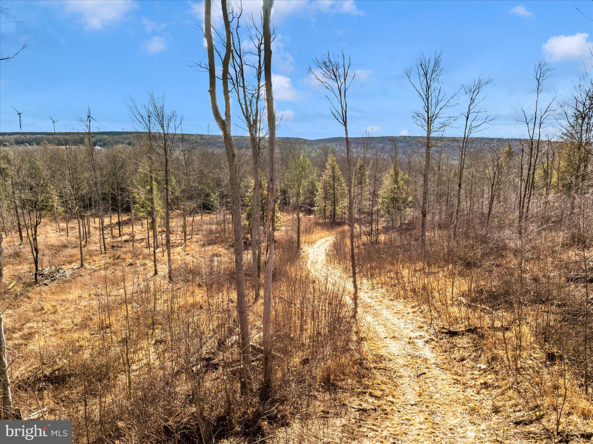 0 Mountain Road Lilly, PA 15938 - Photo 13 of 34 DJI_20251229115043_0015_D