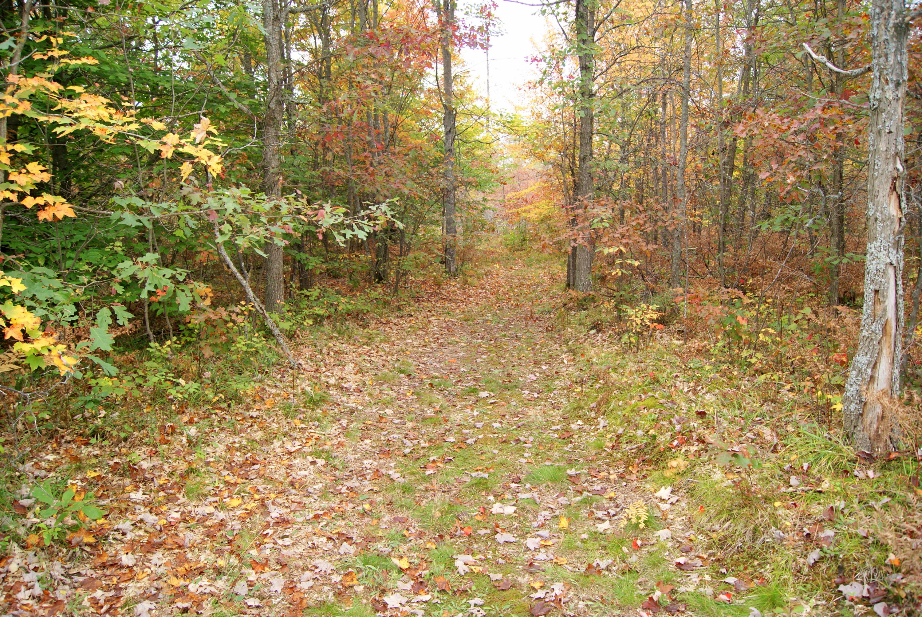 3690 Aarons Road Lewiston, MI 49756 - Photo 46 of 59 Gallery Image 46