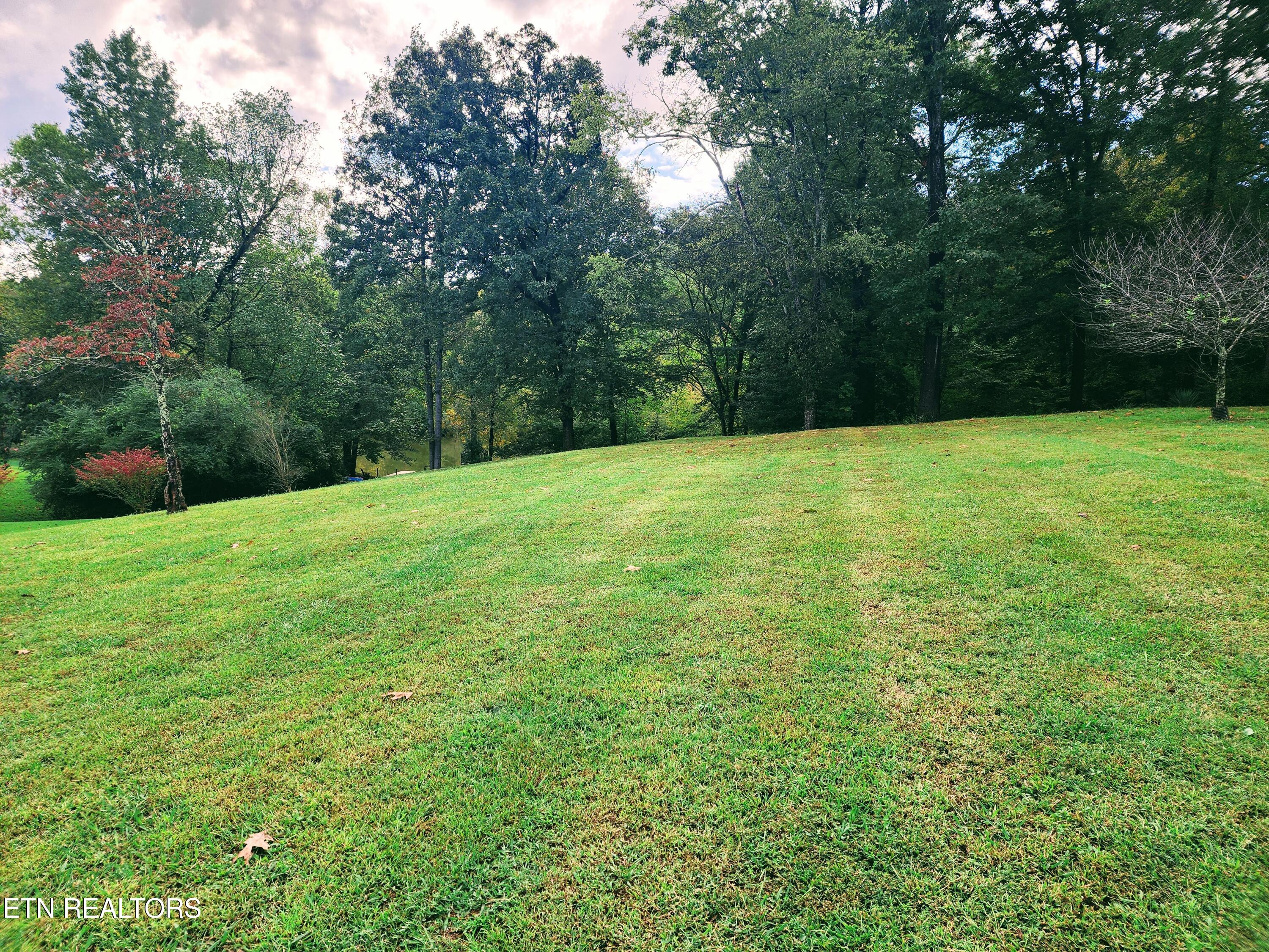 104 Azalea Circle Harriman, TN 37748 - Photo 11 of 42 Lot