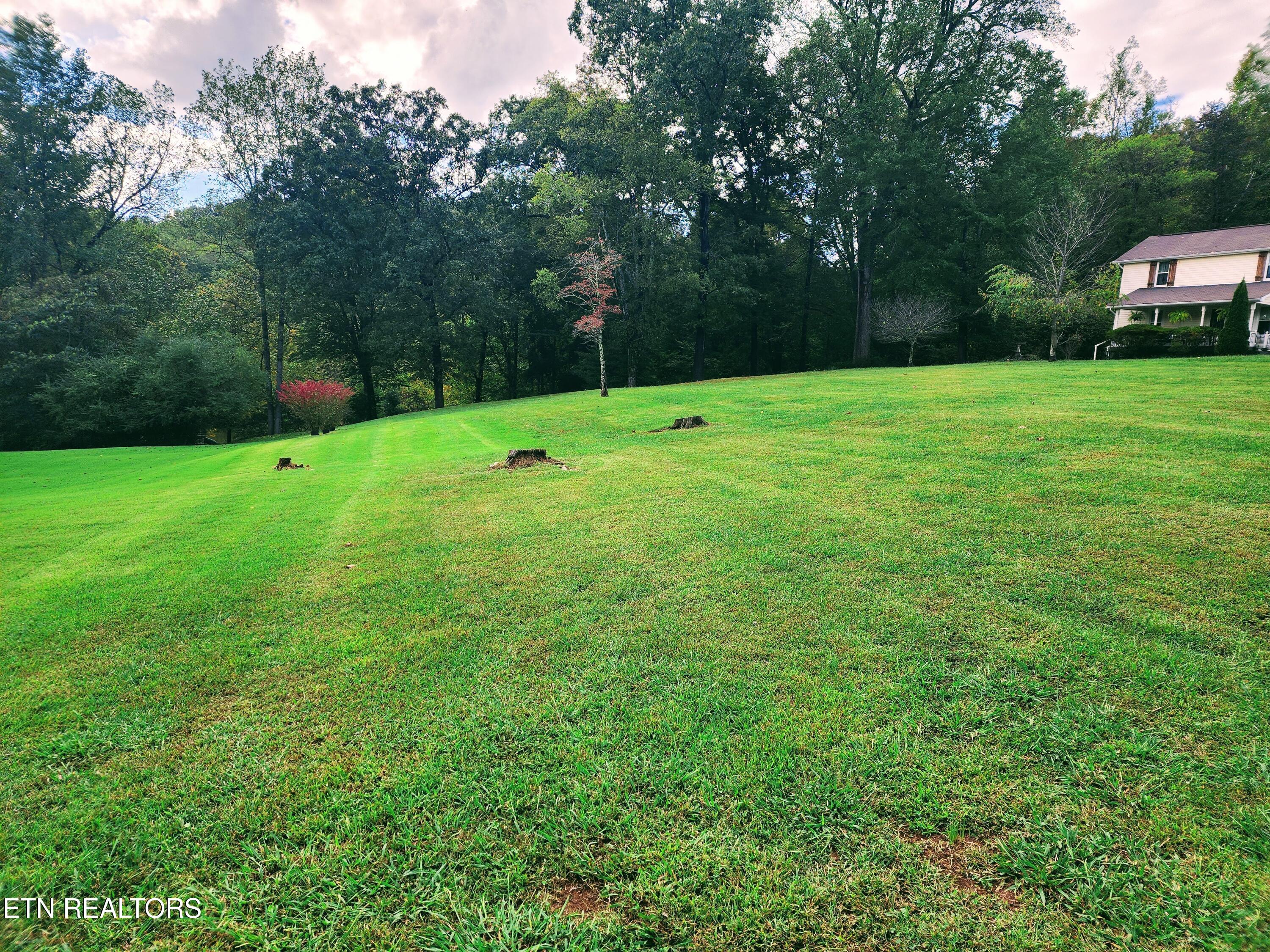 104 Azalea Circle Harriman, TN 37748 - Photo 26 of 42 Lot