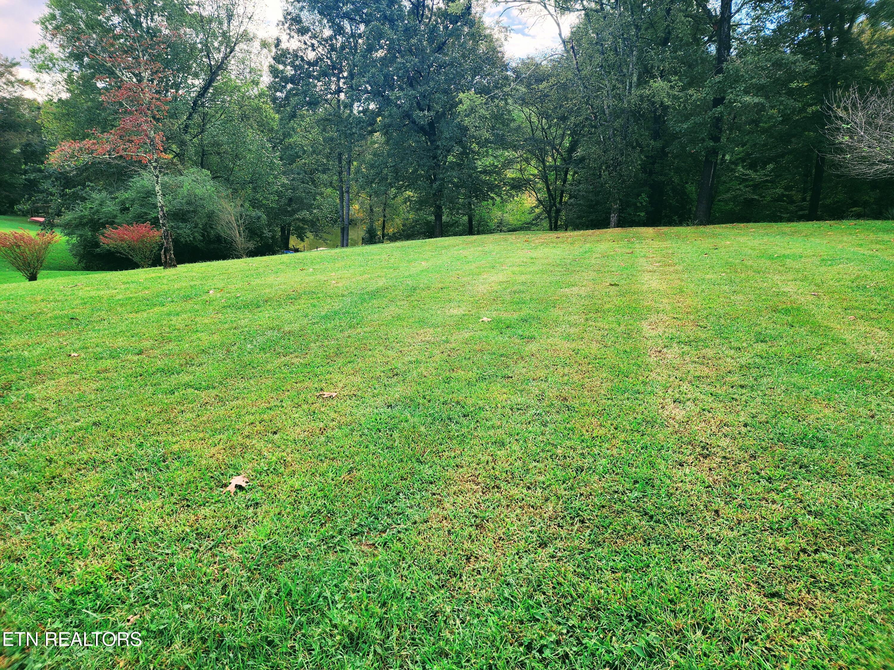 104 Azalea Circle Harriman, TN 37748 - Photo 28 of 42 Lot