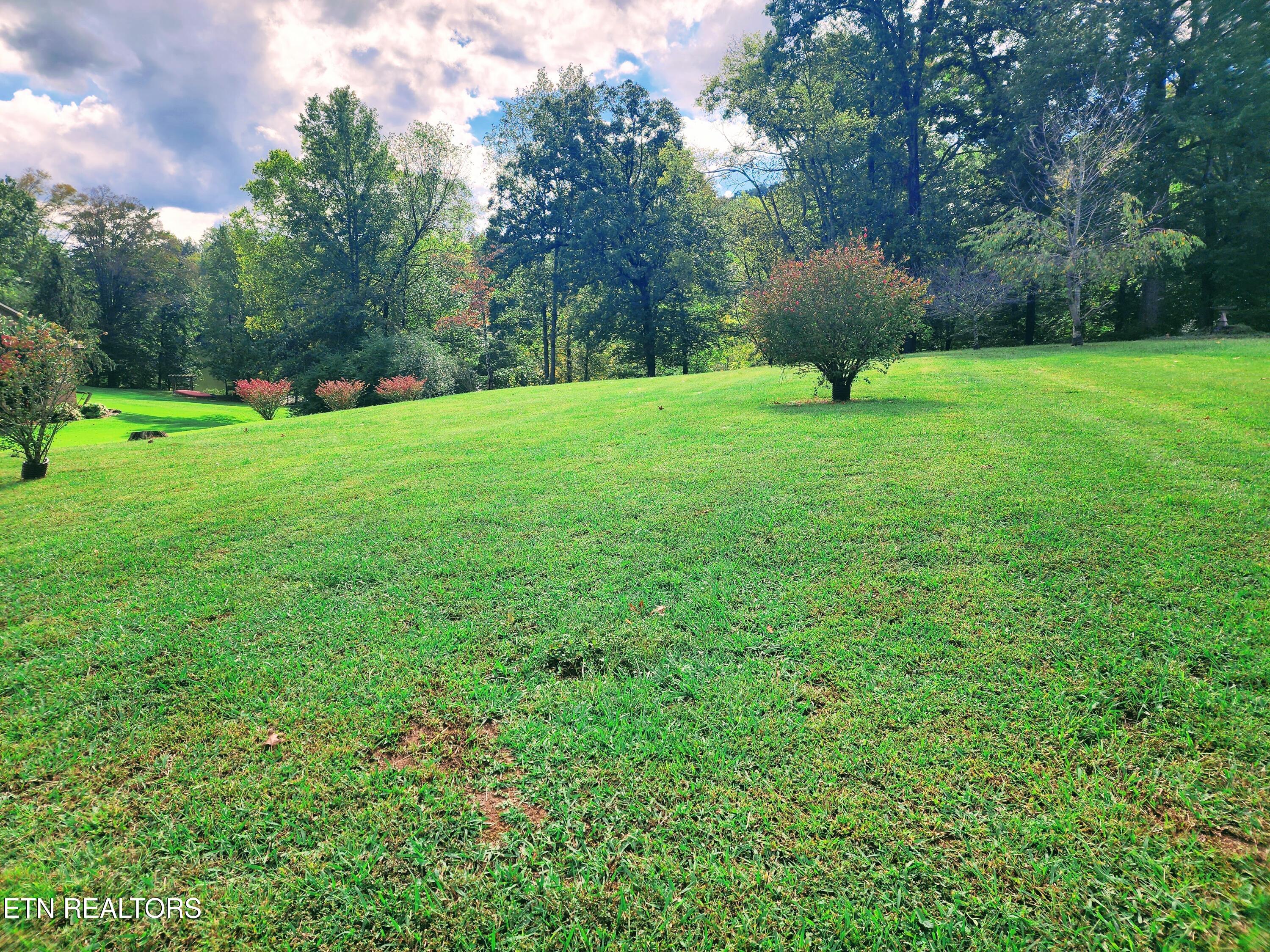 104 Azalea Circle Harriman, TN 37748 - Photo 33 of 42 Lot