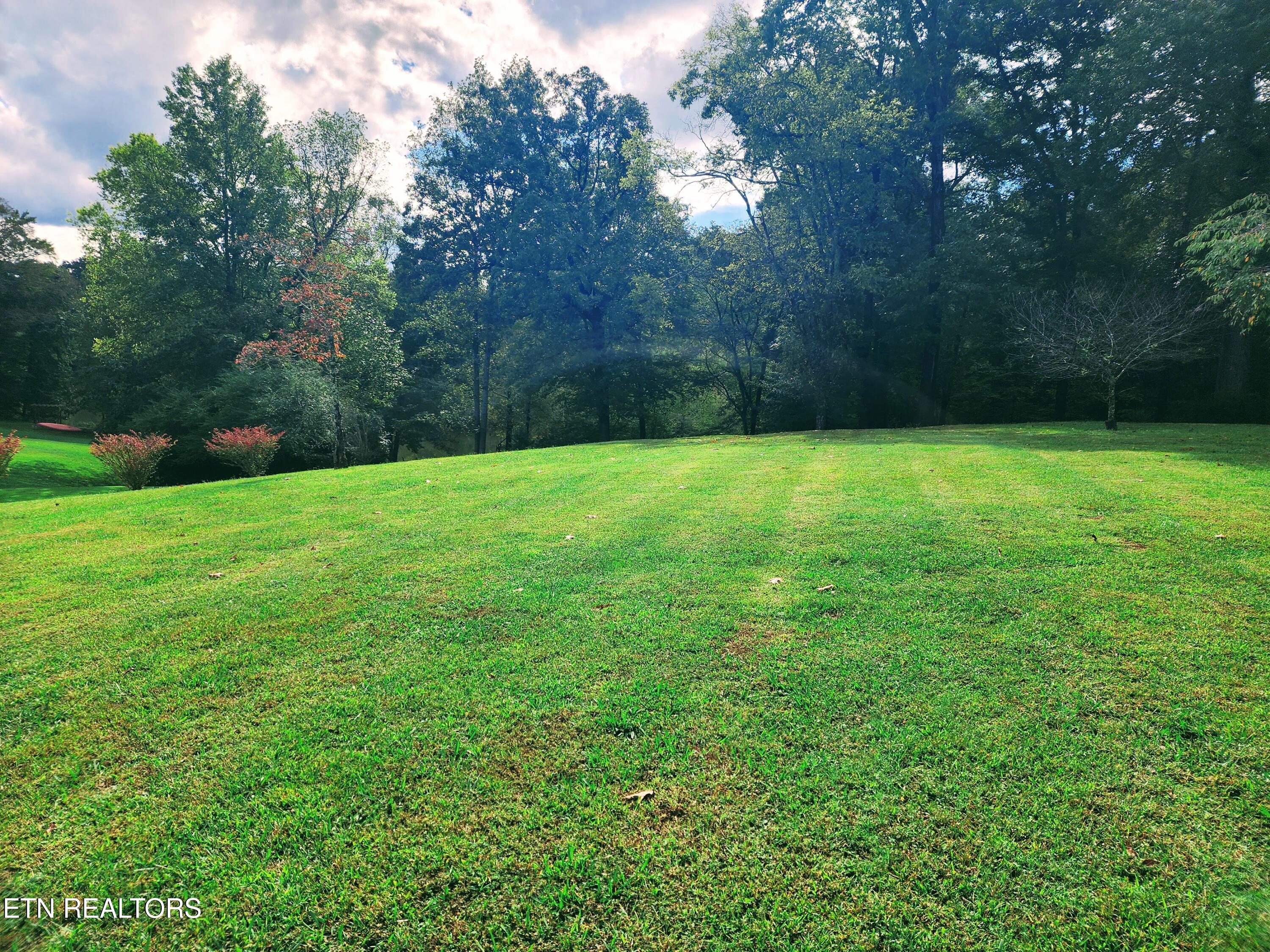 104 Azalea Circle Harriman, TN 37748 - Photo 9 of 42 Lot