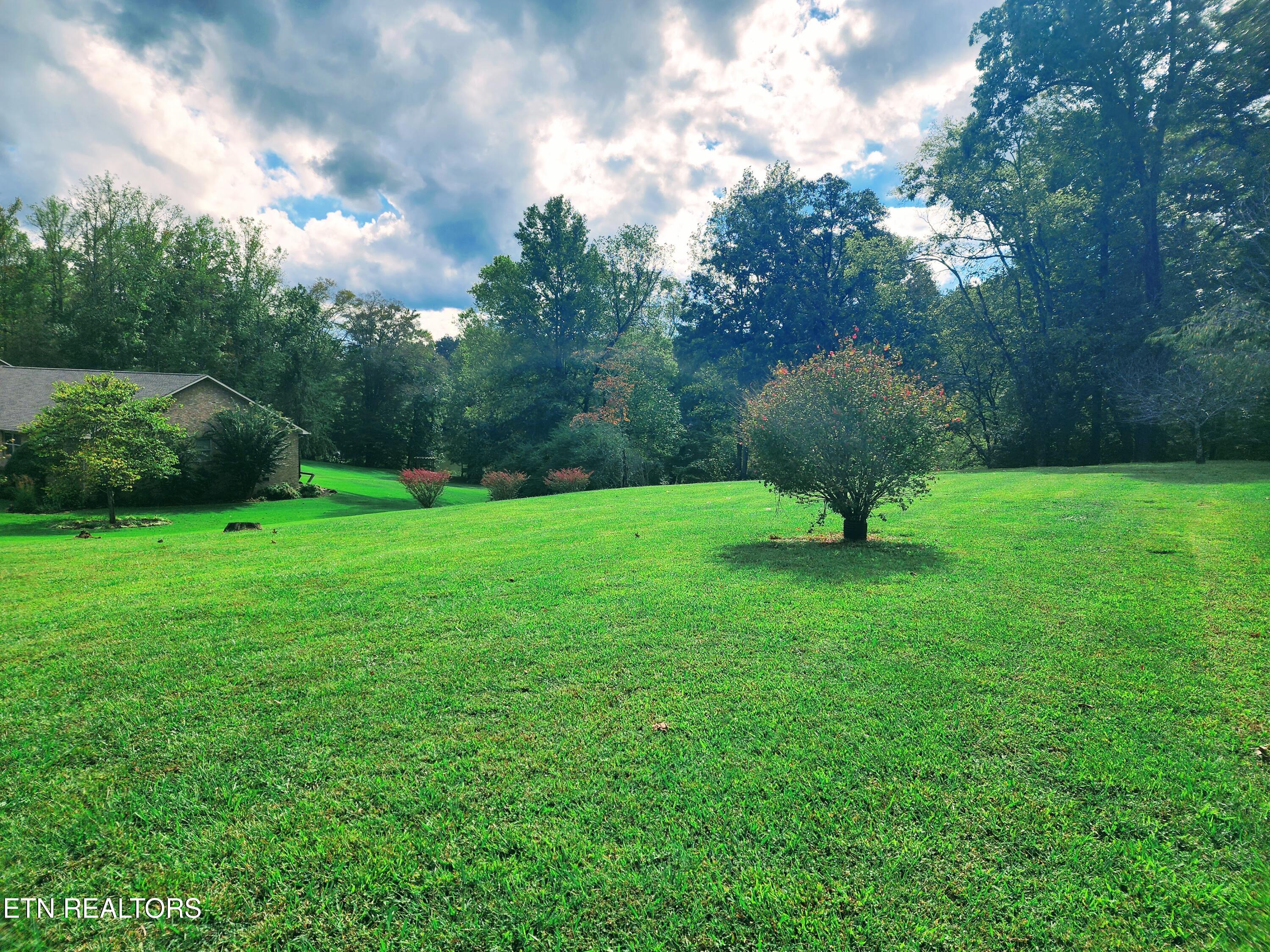 104 Azalea Circle Harriman, TN 37748 - Photo 10 of 42 Lot