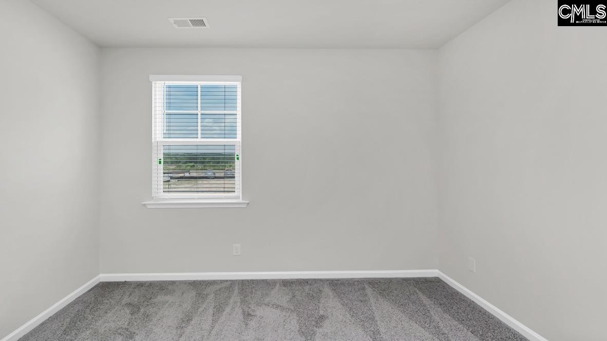 198 Ruby Prince Road Gilbert, SC 29054 - Photo 33 of 41