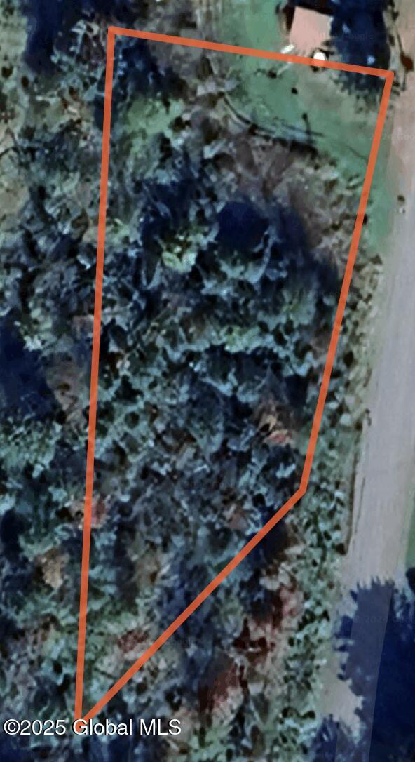 L37.100 Moss Road Lewis, NY 12950 - Photo 2 of 3 Parcel