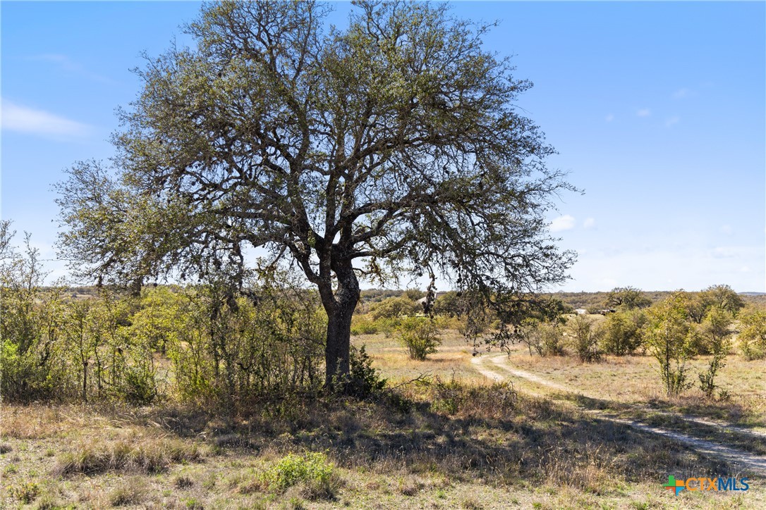 716 Summit Ridge Trail Johnson City, TX 78636 - Photo 1 of 1 Gallery Image 1