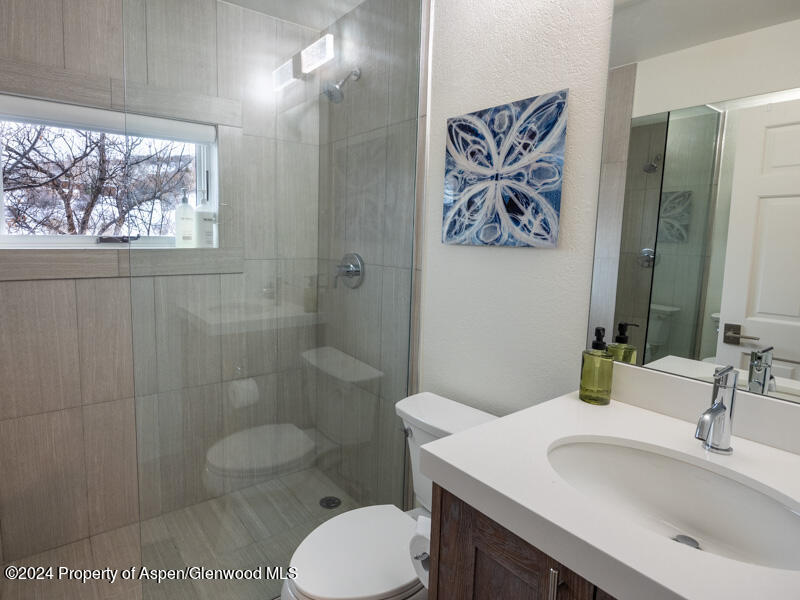 1711 Juniper Hill Road Aspen, CO 81611 - Photo 13 of 19 a bathroom with a toilet a sink and mirror