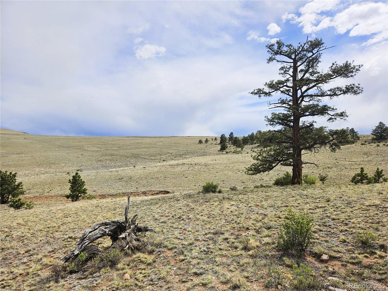 24131 Chato Road Hartsel, CO 80449 - Photo 1 of 28
