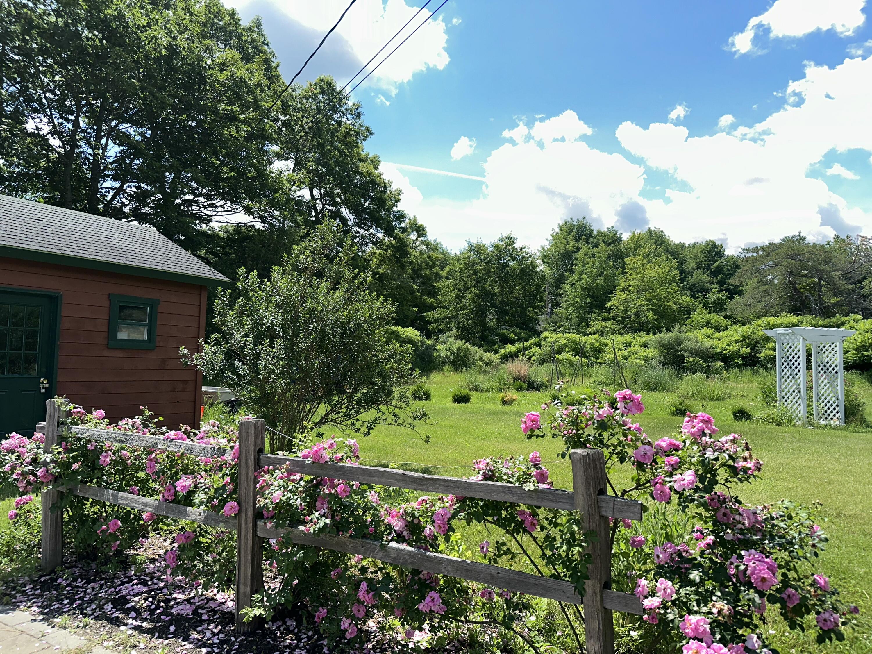 24 Brown Road Richmond, ME 04357 - Photo 50 of 51 Rambling Roses