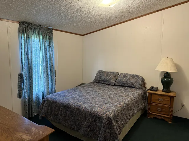 a bedroom with a bed and a dresser