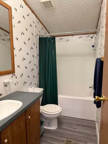 a bathroom with a sink toilet and a mirror
