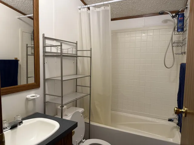 a bathroom with a shower and a toilet