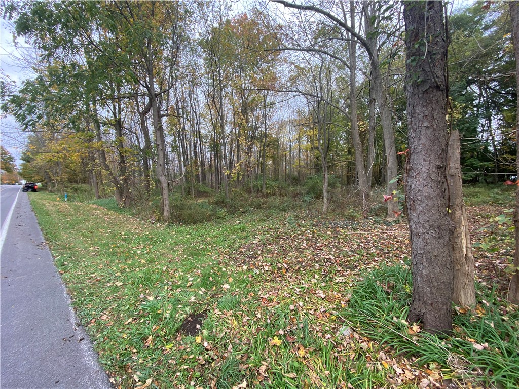 000 South Lake Road Corfu, NY 14036 - Photo 1 of 1