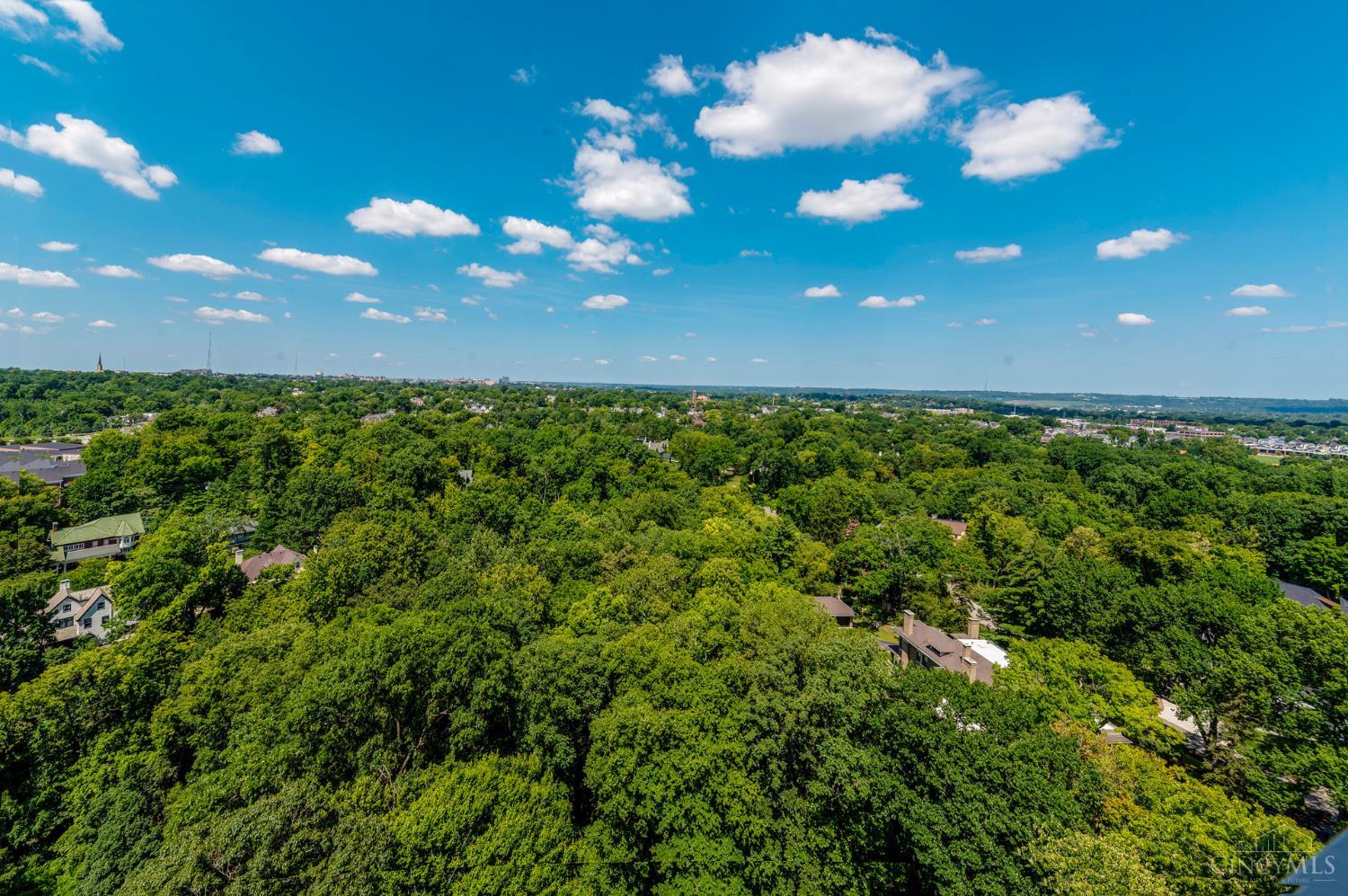 2324 Madison Road, Unit 1701 Cincinnati, OH 45208 - Photo 28 of 37 Gallery Image 28