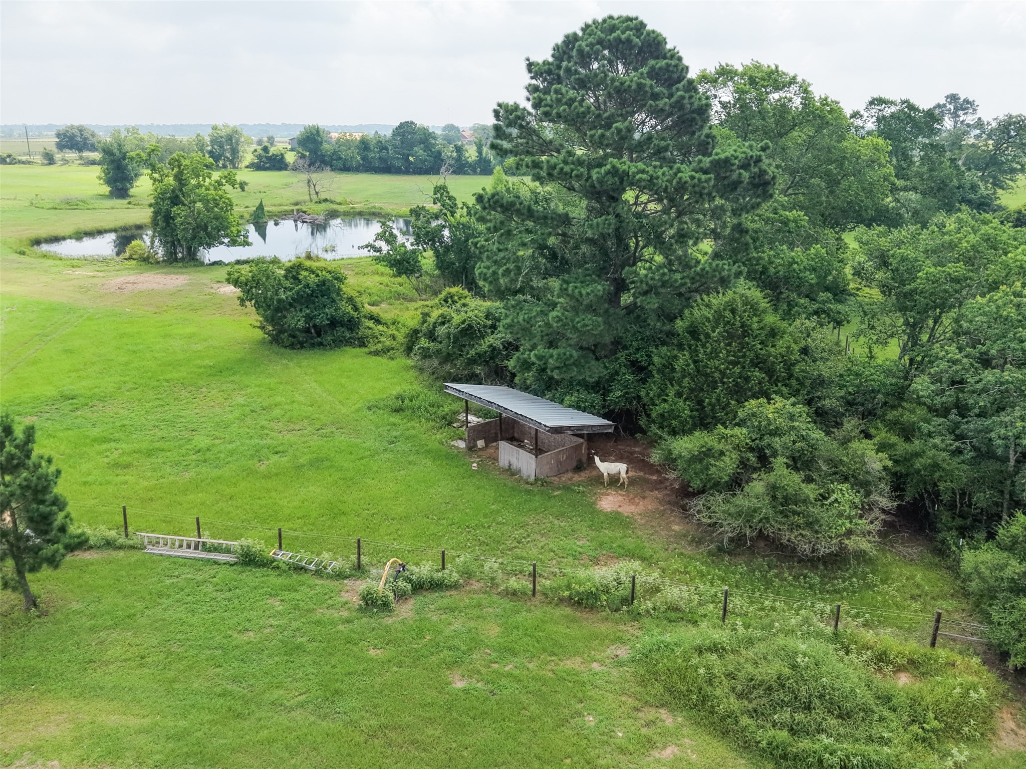 26618 Mitchell Road Hempstead, TX 77445 - Photo 8 of 15 View of property looking to the northeast
