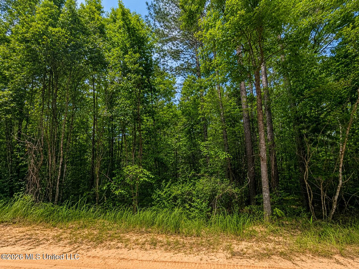 4.39-acres Man Moulds Road Lucedale, MS 39452 - Photo 10 of 15 land (12)