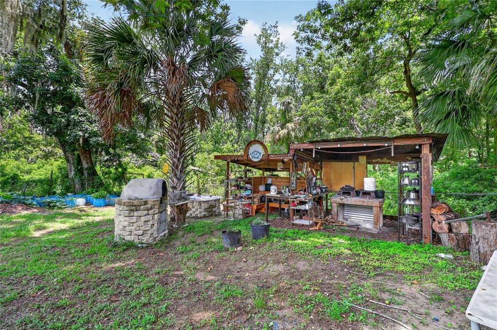 3126 Toole Road Lithia, FL 33547 - Photo 46 of 66