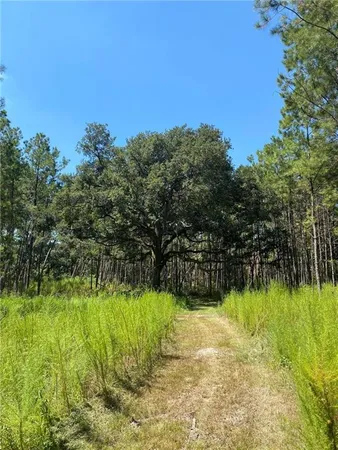 $177,000 | 29424 George White Road, Holden, LA 70744