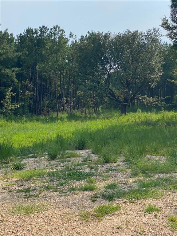 29424 George White Road Holden, LA 70744 - Photo 11 of 15