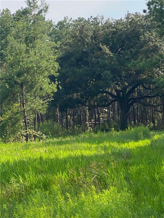 29424 George White Road Holden, LA 70744 - Photo 15 of 15