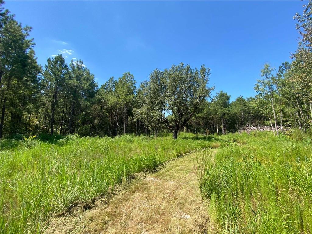 29424 George White Road Holden, LA 70744 - Photo 3 of 15