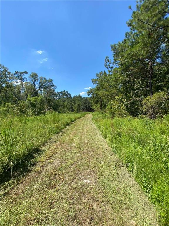 29424 George White Road Holden, LA 70744 - Photo 4 of 15