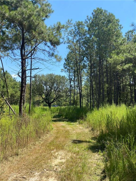 29424 George White Road Holden, LA 70744 - Photo 5 of 15