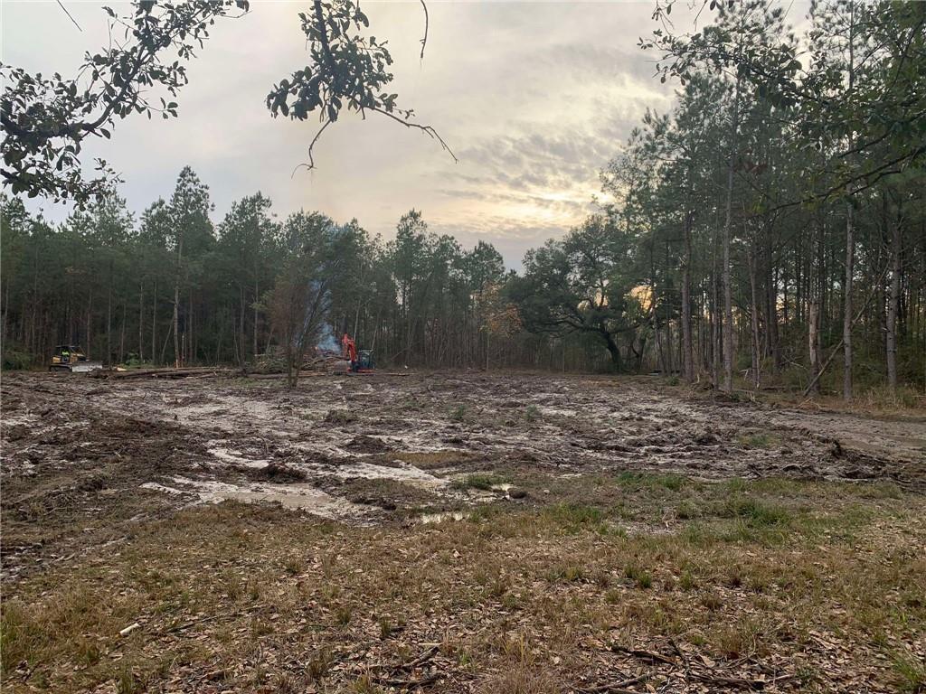 29424 George White Road Holden, LA 70744 - Photo 6 of 15