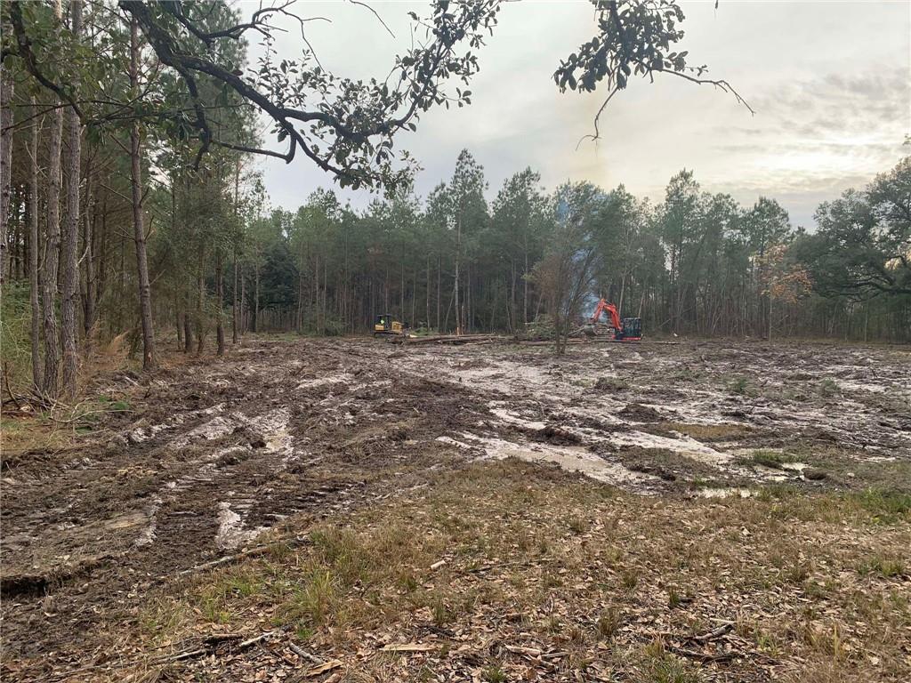 29424 George White Road Holden, LA 70744 - Photo 7 of 15