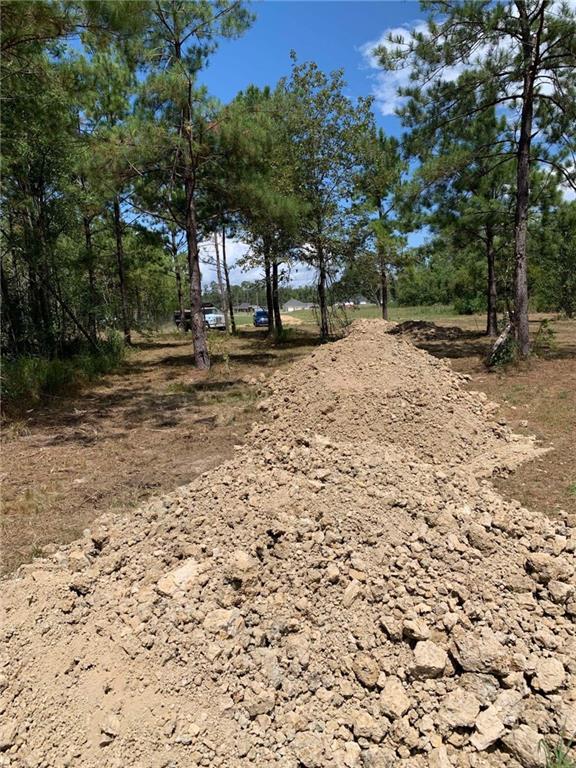 29424 George White Road Holden, LA 70744 - Photo 8 of 15