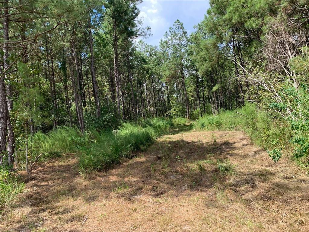 29424 George White Road Holden, LA 70744 - Photo 9 of 15