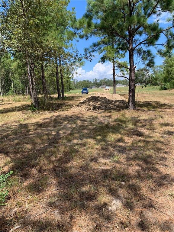 29424 George White Road Holden, LA 70744 - Photo 10 of 15