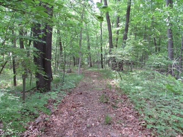 2642 Bader Road Horton, MI 49246 - Photo 21 of 30 2642 Bader (52).JPG