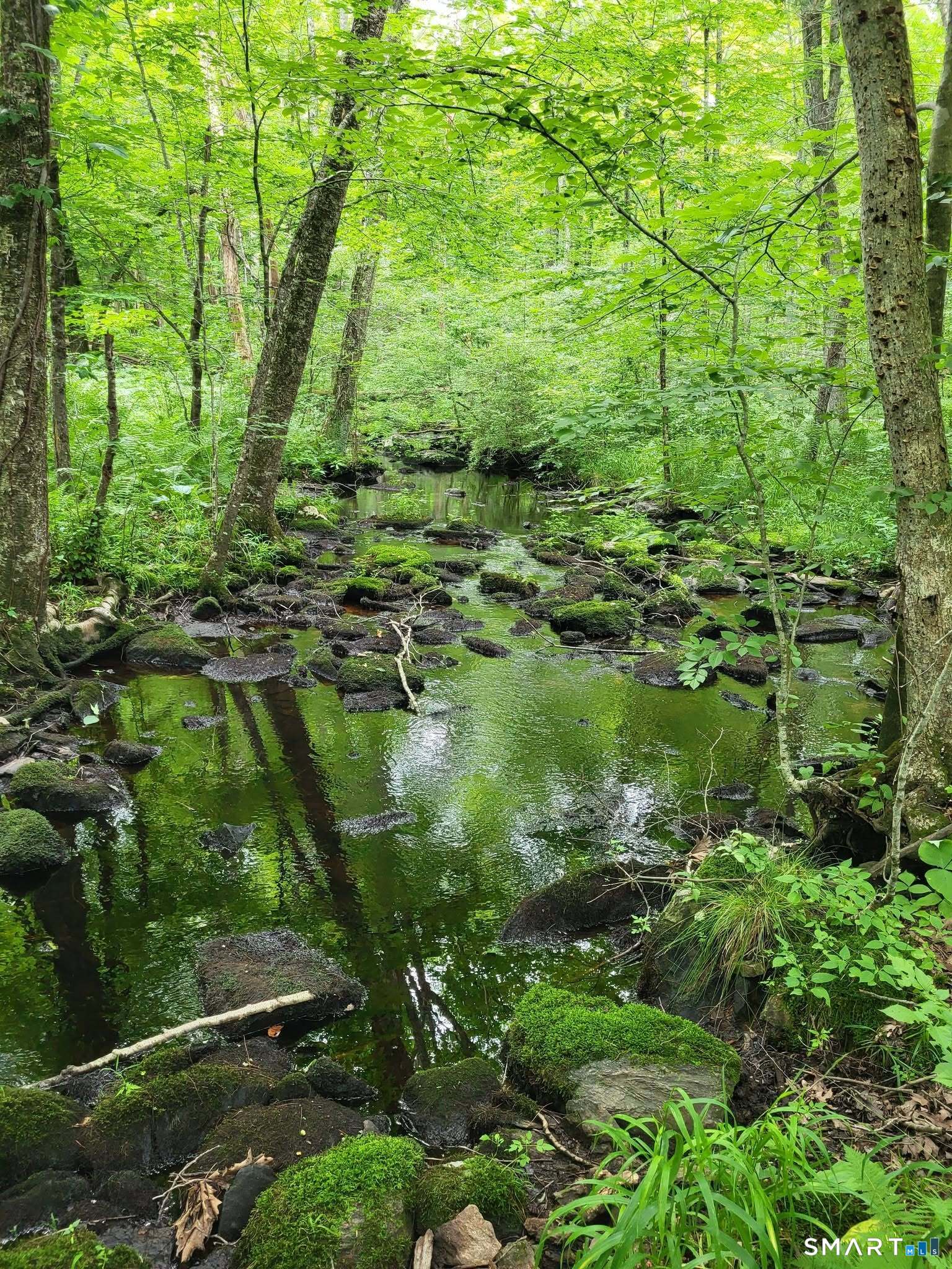 305 Tripp Hollow Road Brooklyn, CT 06234 - Photo 15 of 29