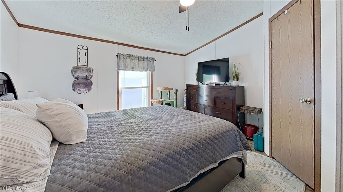 17015 McIntosh Road Wellsville, OH 43968 - Photo 14 of 24 Bedroom with large walk-in closet