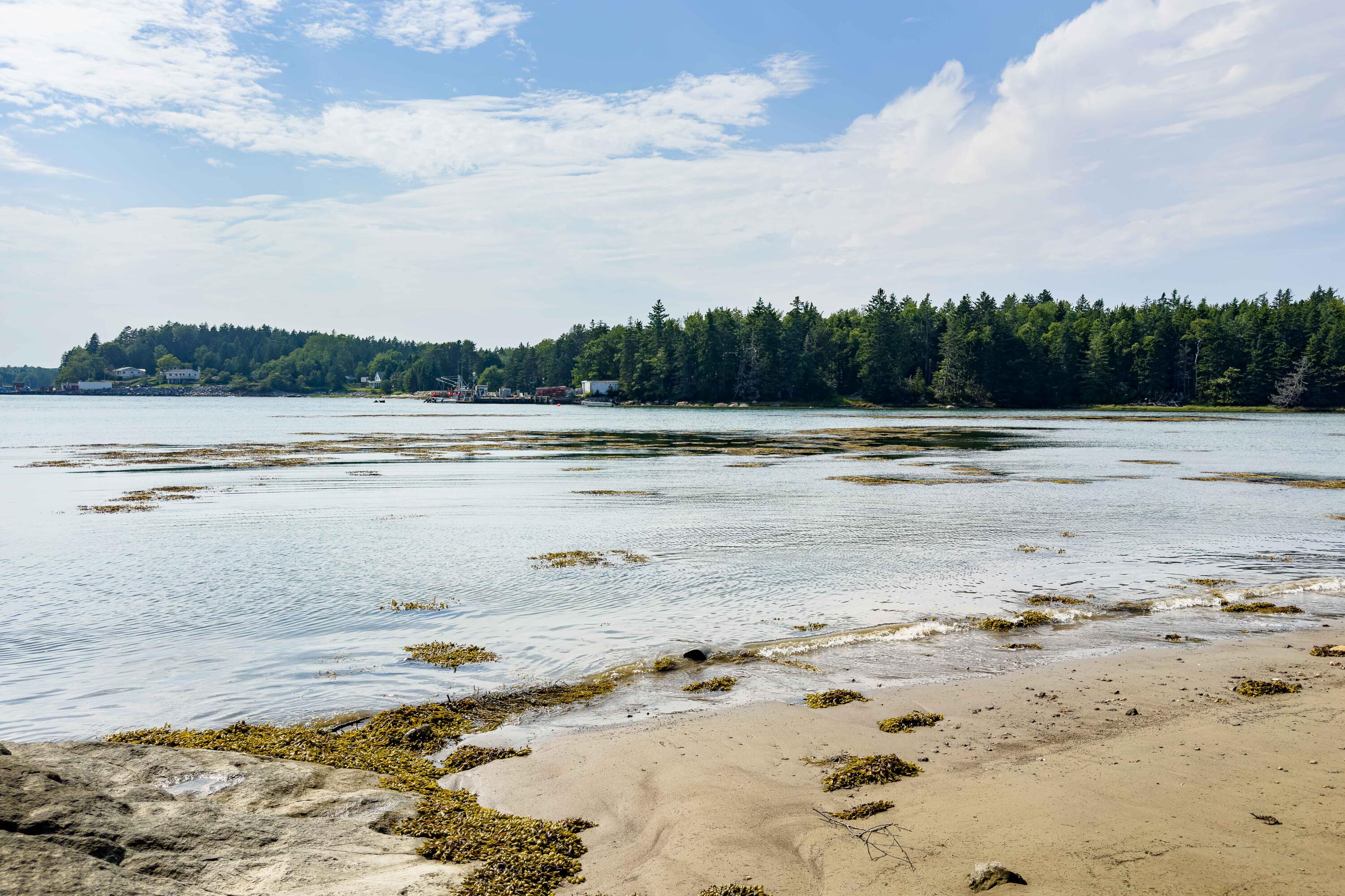 98 Harrington Cove Road Spruce Head, ME 04859 - Photo 11 of 49 98HaringtonCove_13_SS_mls