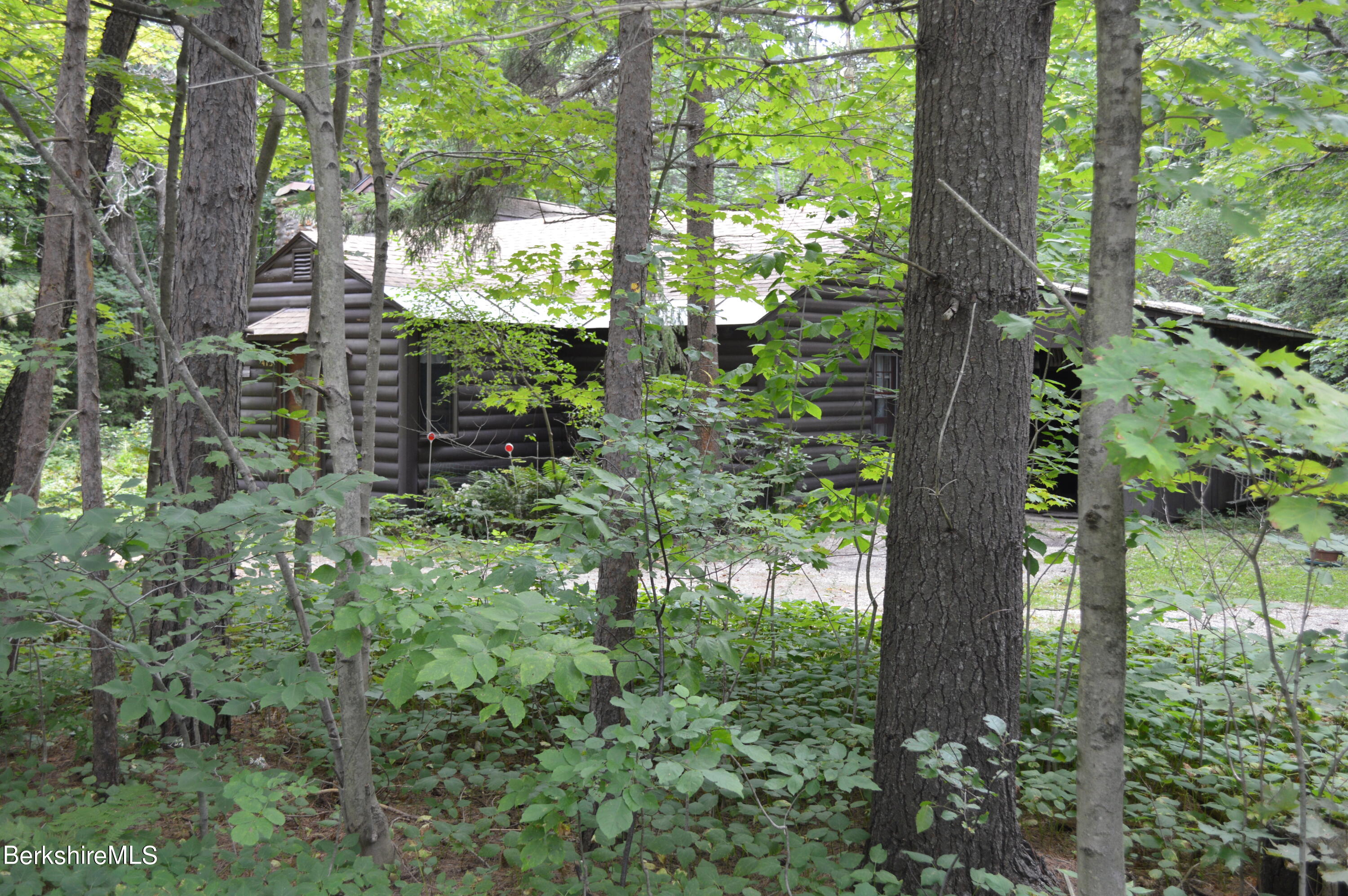 473 County Road Becket, MA 01223 - Photo 23 of 30 a plant of lots of trees