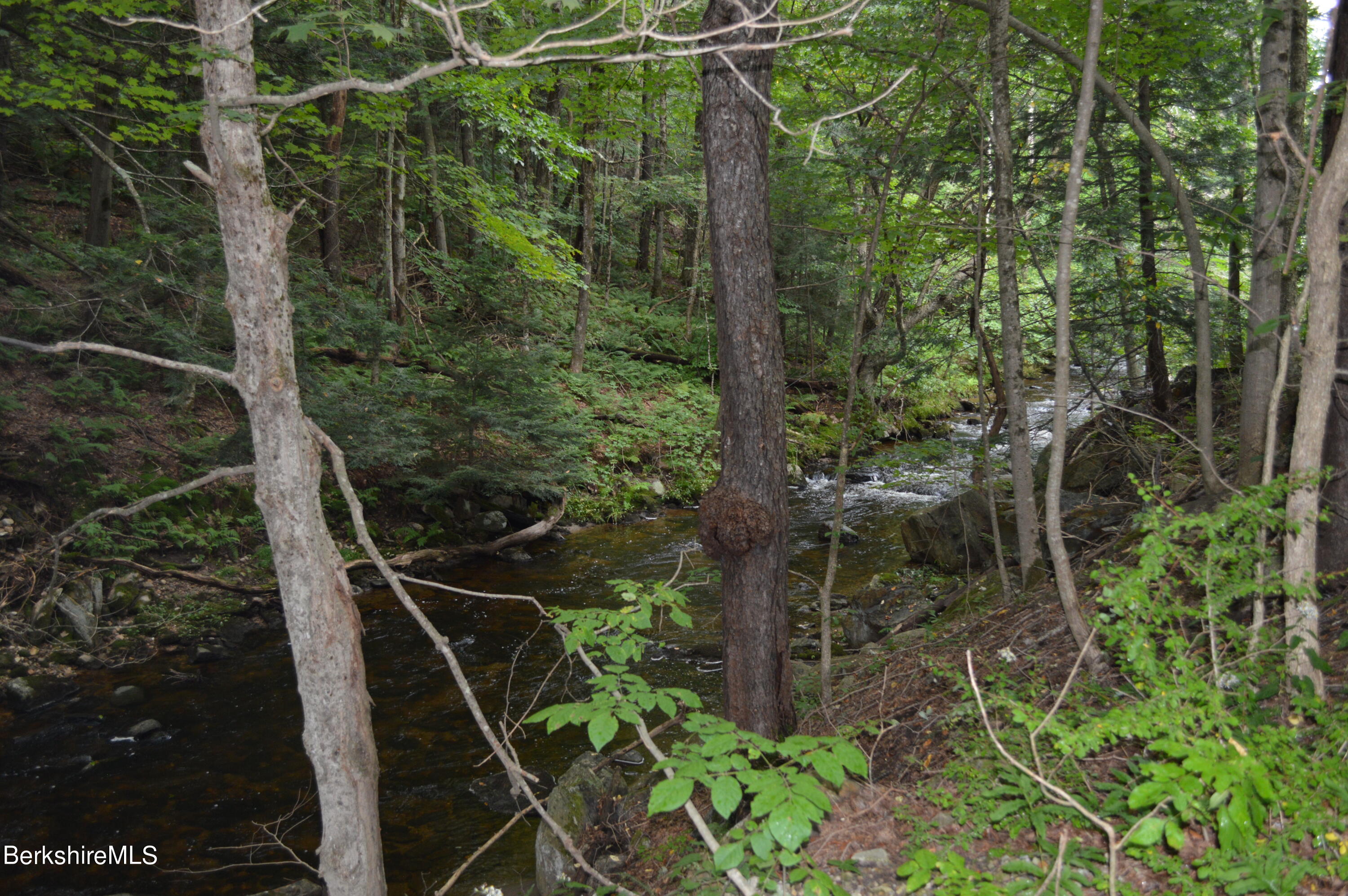 473 County Road Becket, MA 01223 - Photo 29 of 30 a view of a yard